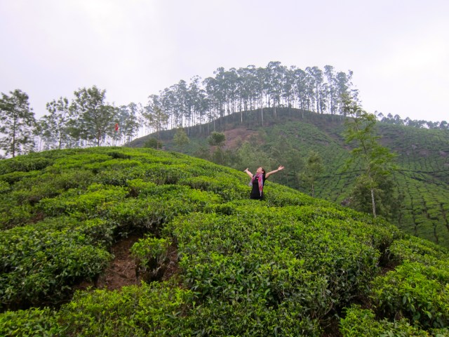 I love Munnar - Munnar, India