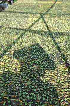 Jodi's shadow at a seed market Mekong Delta, Vietnam