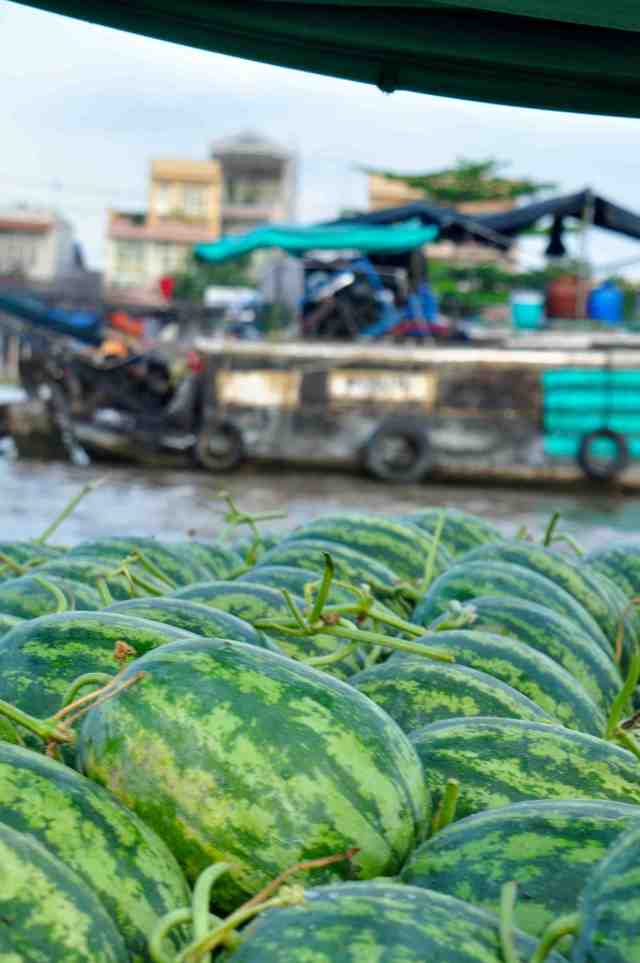 Watermellons - Mekong Delta, Vietnam